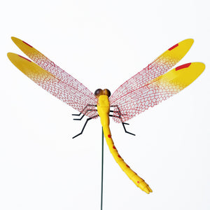 Dragonfly Wall Sticker for Home and Garden Decoration Mimarta
