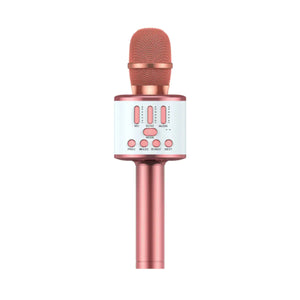 Karaoke Party Microphone With Bluetooth Rieworkes