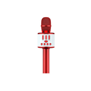 Karaoke Party Microphone With Bluetooth Rieworkes