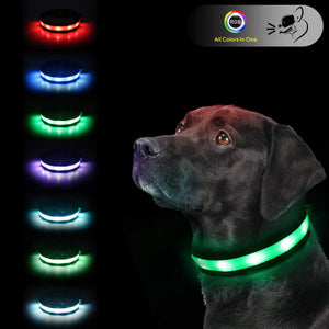 Light Up Dog CollarsSafety LED Dog Collars USB Rechargeable 7 Changing Colors Glow in The Dark Dog Walking LightNeon Adjustable Safety Buckle Lighted Dog Collar for Small/Medium/Large Dogs XL Size Mimarta