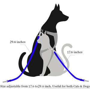2 Pack Cat DOG PET Safety Seatbelt Car Vehicle Seat Belt Adjustable Harness Lead - Rieworkes