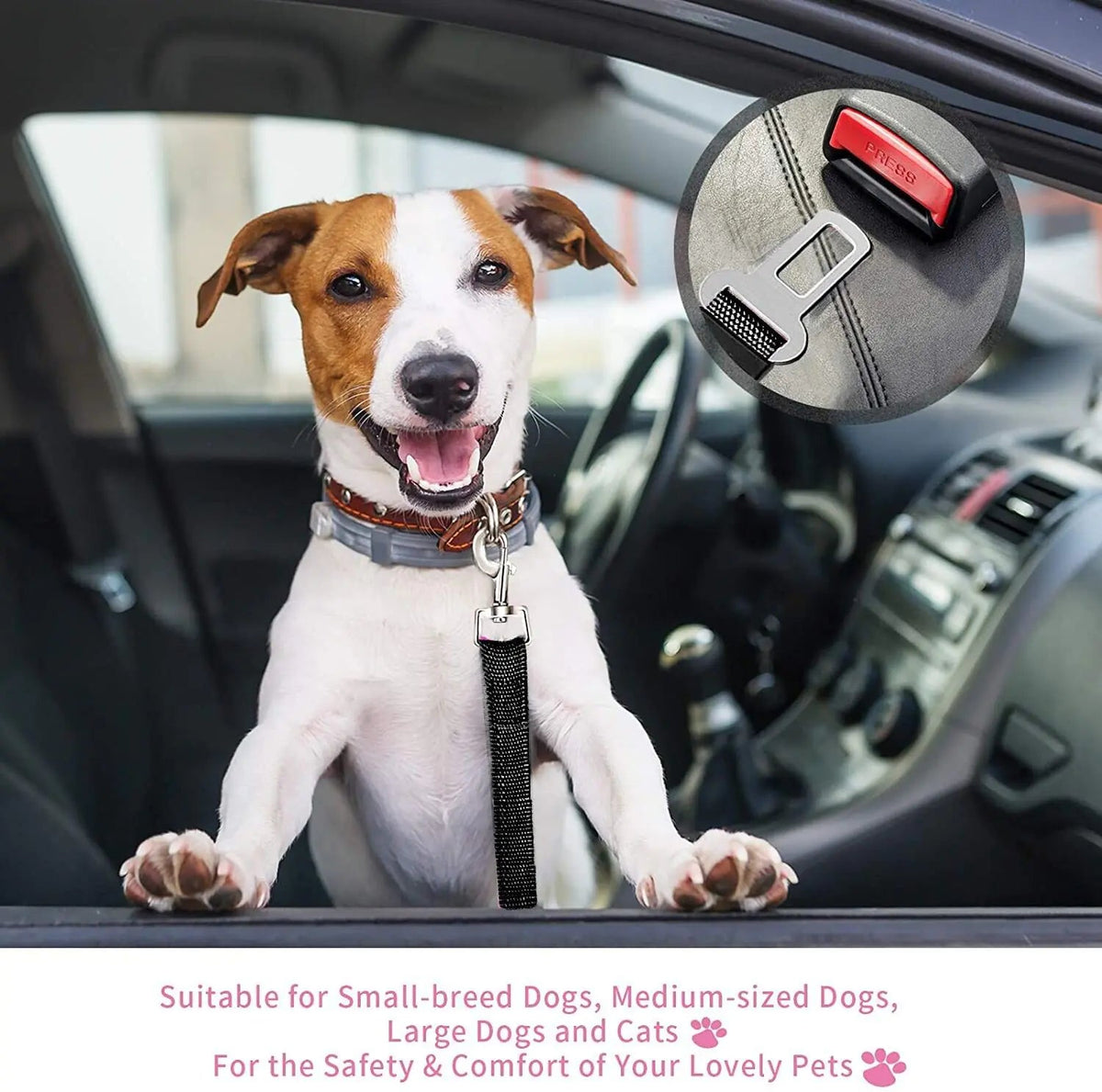 2 Pack Cat DOG PET Safety Seatbelt Car Vehicle Seat Belt Adjustable Harness Lead - Rieworkes