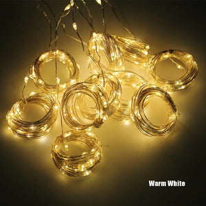 LED Curtain Garland Rieworkes