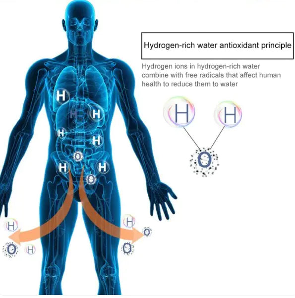 Hydrogen Water Machine Rieworkes