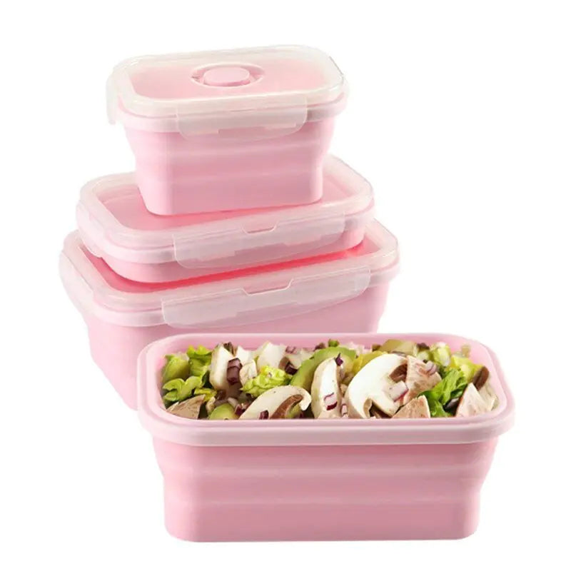 Pack &amp; Go Collapsible Lunch Box Rieworkes