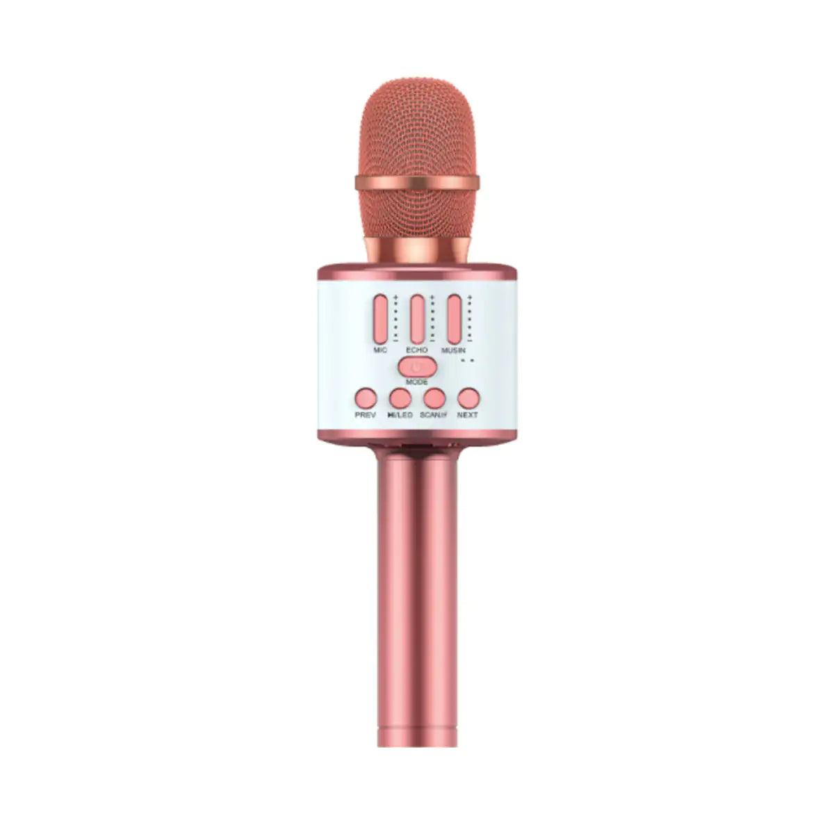 Karaoke Party Microphone With Bluetooth Rieworkes