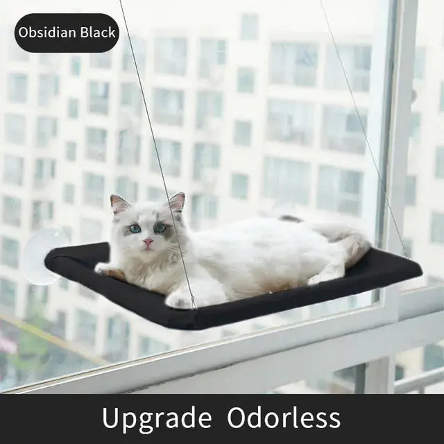 Suction Cup Hanging Cat Hammock Rieworkes