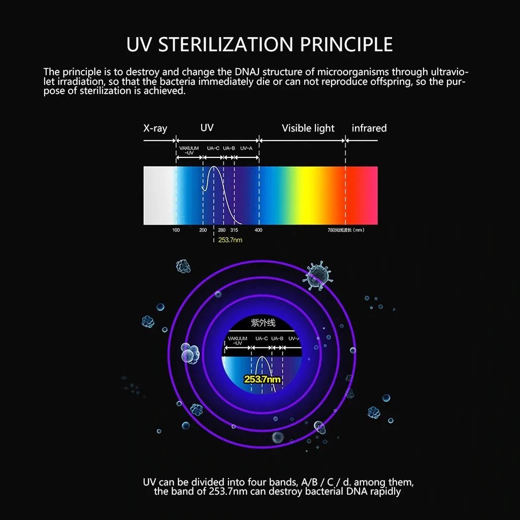 Antibacterial UV Light Disinfection Toothbrush - Rieworkes