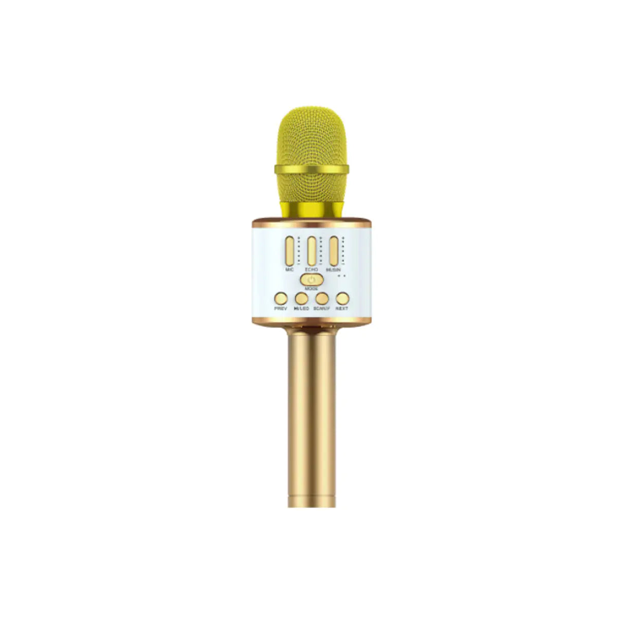 Karaoke Party Microphone With Bluetooth Rieworkes
