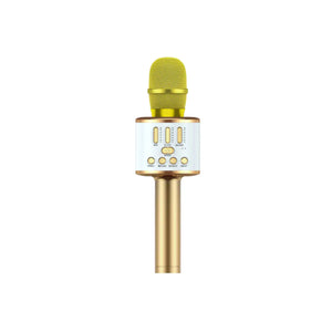 Karaoke Party Microphone With Bluetooth Rieworkes