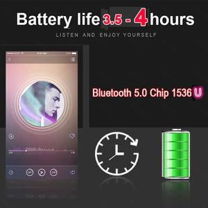 Noise Canceling  Earphone Rieworkes