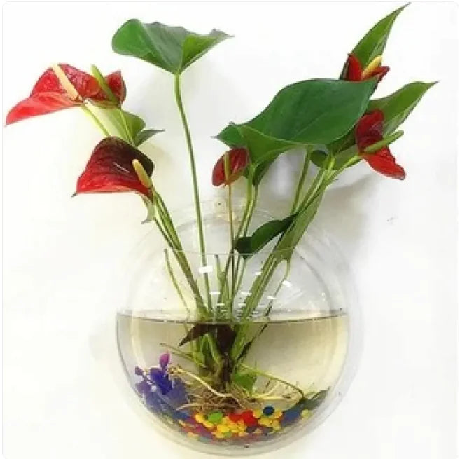 Wall-Mounted Acrylic Fish Tank Mimarta