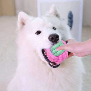 Pet Dog Chew Toys Rieworkes