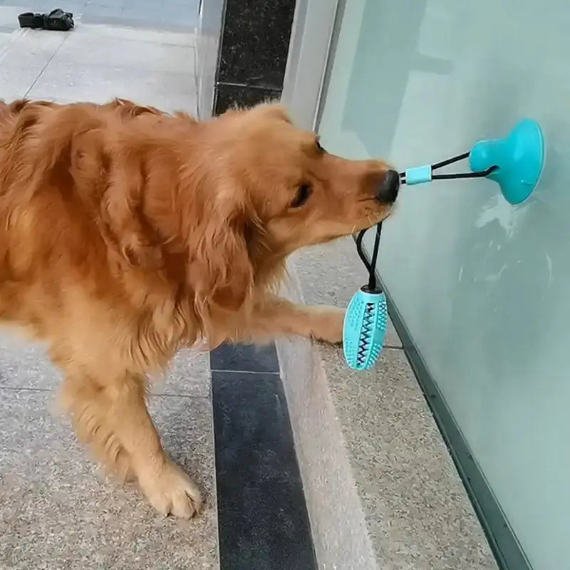 Silicone Suction Cup Dog Toy Rieworkes