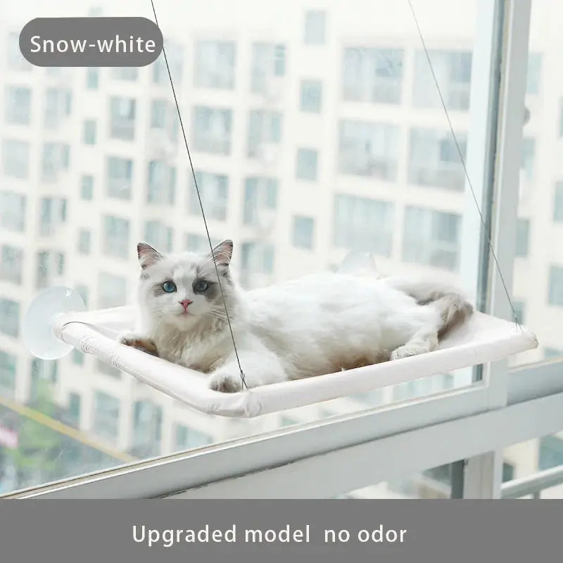 Suction Cup Hanging Cat Hammock Rieworkes